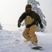 ���������� �����������, ���� ������� �����, 40 ���, ������������ ��� ������, ����� � ���������