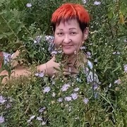  ,   , 51 ,     