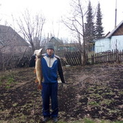 ���������� �����, ���� ������� �������, 33 ����, ������������ ��� ������