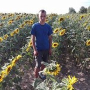  ,   , 29 ,   ,   , c 