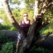 ���������� ���, ���� ������� �����, 40 ���, ������������ ��� ������, ����� � ���������