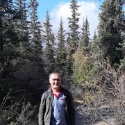  ,   , 53 ,   
