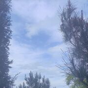  ,   , 55 ,   ,   , c 