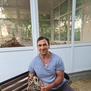  ,   , 41 ,  