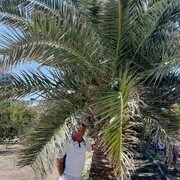  ,   , 51 ,   ,   , c 