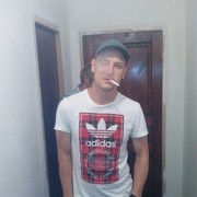   ,  Kot, 37