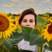 ���������� ���������, �������