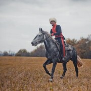 ���������� ������, ���� ������� �������, 46 ���, ������������ ��� ����� � ���������, c�������� ���������