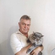  ,   , 58 ,   ,   