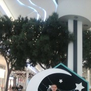 ���������� ����������, ���� ������� ����, 36 ���, ������������ ��� ������, ����� � ���������, c�������� ���������