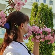 ���������� ����, ���� ������� �����, 40 ���, ������������ ��� ������, ����� � ���������, ���������