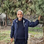 ���������� �������, ���� ������� �����, 75 ���, ������������ ��� ������, ����� � ���������, c�������� ���������, ���������