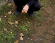 ���������� ������, ���� ������� �����, 55 ���, ������������ ��� ������, ����� � ���������, c�������� ���������