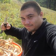 ���������� ����������, ���� ������� �����, 36 ���, ������������ ��� ������, ����� � ���������, c�������� ���������, ���������