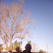 ���������� ��������, ���� ������� �����, 38 ���, ������������ ��� ������, ����� � ���������, c�������� ���������