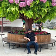   ,   , 36 ,     , c , 