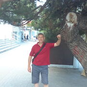  ,   , 54 ,   ,   