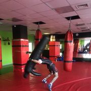 ���������� �����������, ���� ������� Han, 34 ����, ������������ ��� ������, ����� � ���������