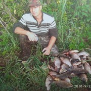 ���������� ������, ������� Dimon, 42