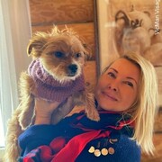 ���������� ������, ���� ������� ��������, 50 ���, ������������ ��� ����� � ���������, c�������� ���������