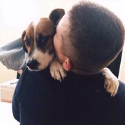 ���������� �������, ���� ������� Andrew, 30 ���, ������������ ��� ������, ����� � ���������, c�������� ���������