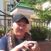  ,   Bakhtiar, 37 ,   ,   , c 