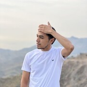 ���������� �������, ������ Shox, 25