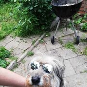 ���������� ������, ���� ������� �����, 39 ���, ������������ ��� ������