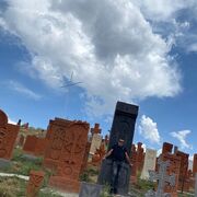 ���������� ������, ���� ������� Arman, 45 ���, ������������ ��� ������, ����� � ���������