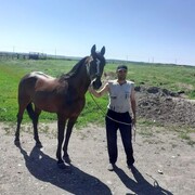  ,   Valera, 48 ,   ,   