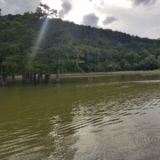  ,   , 38 ,   , 