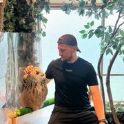 ���������� ��������, ���� ������� �������, 34 ����, ������������ ��� ������, ����� � ���������