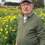 ���������� ���, ���� ������� ����, 65 ���, ������������ ��� ������, ����� � ���������