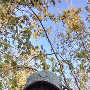 ���������� ������-���������, ������� ���������, 42