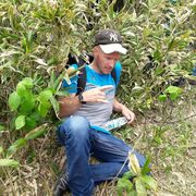 ���������� ����-���������, ���� ������� �����, 37 ���, ������������ ��� ������, ����� � ���������, c�������� ���������