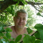  --,   , 48 ,   