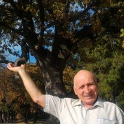 ���������� ���������, ���� ������� ���������, 64 ����, ������������ ��� ������, ����� � ���������, c�������� ���������