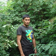 ���������� �����, ���� ������� �����, 43 ����, ������������ ��� ����� � ���������, c�������� ���������