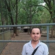 ���������� ������-��-����, ���� ������� ����, 37 ���, ������������ ��� ����� � ���������, c�������� ���������, ���������