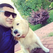 ���������� ������, ���� ������� ����, 41 ���, ������������ ��� ������, ����� � ���������, c�������� ���������