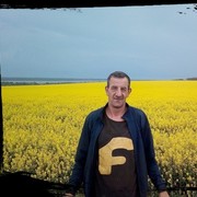  --,   , 56 ,   ,   , c 