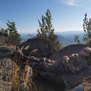 ���������� ���������, ���� ������� �������, 28 ���, ������������ ��� ������, ����� � ���������