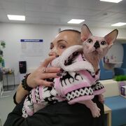 ���������� ������, ���� ������� ����, 53 ����, ������������ ��� c�������� ���������