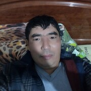 ,  , 41