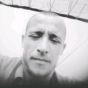 ���������� ������, ���� ������� Sergo, 36 ���, ������������ 