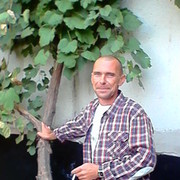 ���������� ������, ���� ������� ���������, 49 ���, ������������ ��� ������