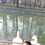 ���������� ������, ���� ������� �����, 43 ����, ������������ ��� ������, ����� � ���������, c�������� ���������