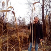  ,   VIKTOR, 60 ,   ,   , c 