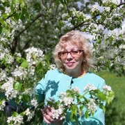 ���������� �����, ���� ������� ����, 59 ���, ������������ ��� c�������� ���������