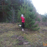  ,   Sveta, 42 ,  